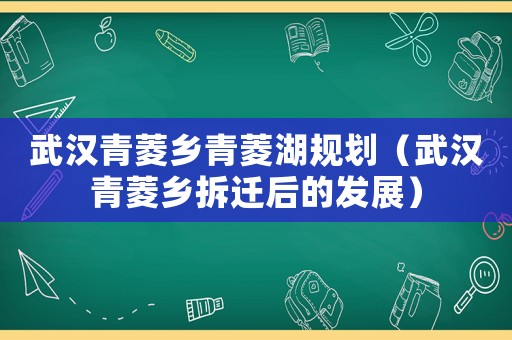武漢青菱鄉(xiāng)青菱湖規(guī)劃（武漢青菱鄉(xiāng)拆遷后的發(fā)展）