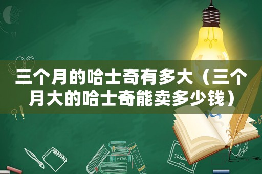 三個(gè)月的哈士奇有多大（三個(gè)月大的哈士奇能賣多少錢）