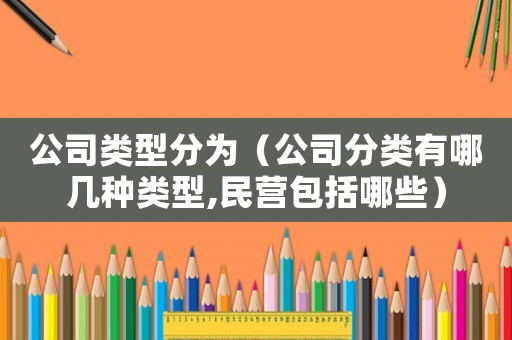 公司類型分為（公司分類有哪幾種類型,民營包括哪些）