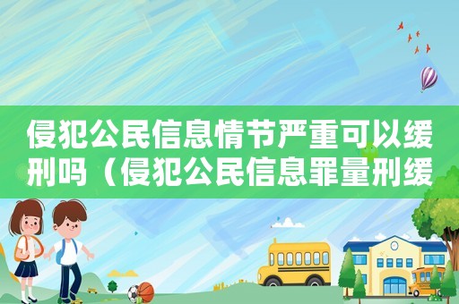 侵犯公民信息情節(jié)嚴(yán)重可以緩刑嗎（侵犯公民信息罪量刑緩刑案例）