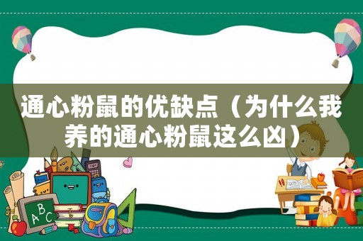 通心粉鼠的優(yōu)缺點（為什么我養(yǎng)的通心粉鼠這么兇）