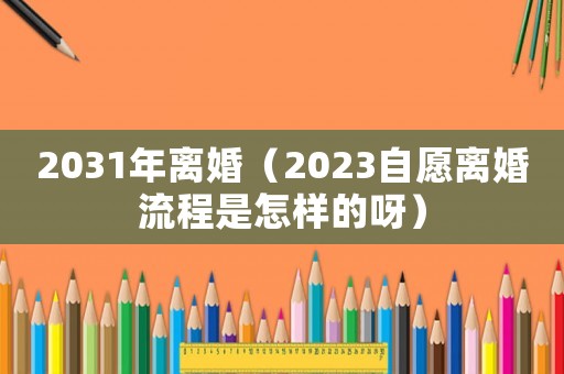 2031年離婚（2023自愿離婚流程是怎樣的呀）