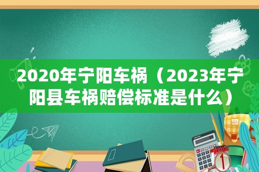2020年寧陽(yáng)車禍（2023年寧陽(yáng)縣車禍賠償標(biāo)準(zhǔn)是什么）