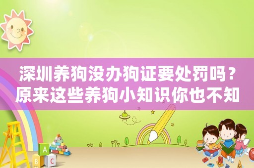 深圳養(yǎng)狗沒辦狗證要處罰嗎？原來(lái)這些養(yǎng)狗小知識(shí)你也不知道