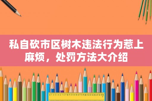 私自砍市區(qū)樹(shù)木違法行為惹上麻煩，處罰方法大介紹