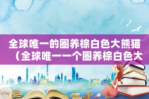全球唯一的圈養(yǎng)棕白色大熊貓（全球唯一一個(gè)圈養(yǎng)棕白色大熊貓）
