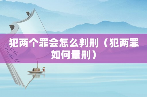 犯兩個罪會怎么判刑（犯兩罪如何量刑）