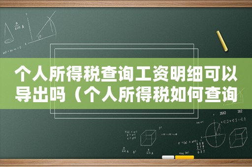 個人所得稅查詢工資明細(xì)可以導(dǎo)出嗎（個人所得稅如何查詢工資明細(xì)）