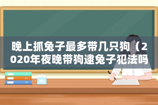 晚上抓兔子最多帶幾只狗（2020年夜晚帶狗逮兔子犯法嗎）