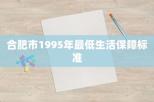 合肥市1995年最低生活保障標(biāo)準(zhǔn)