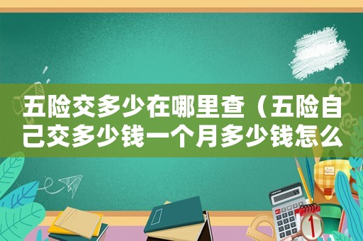 五險交多少在哪里查（五險自己交多少錢一個月多少錢怎么查）
