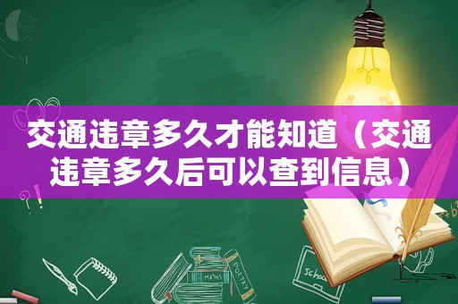 交通違章多久才能知道（交通違章多久后可以查到信息）