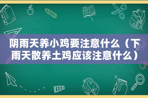 陰雨天養(yǎng)小雞要注意什么（下雨天散養(yǎng)土雞應該注意什么）