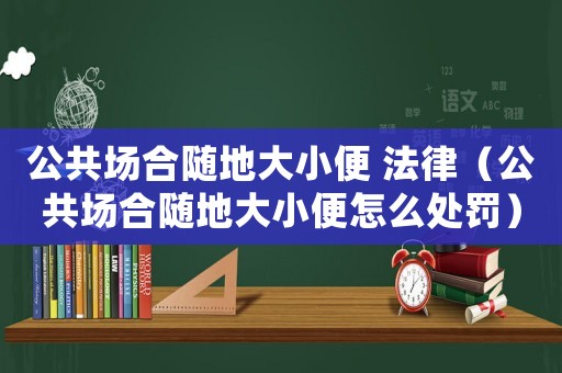 公共場(chǎng)合隨地大小便 法律（公共場(chǎng)合隨地大小便怎么處罰）
