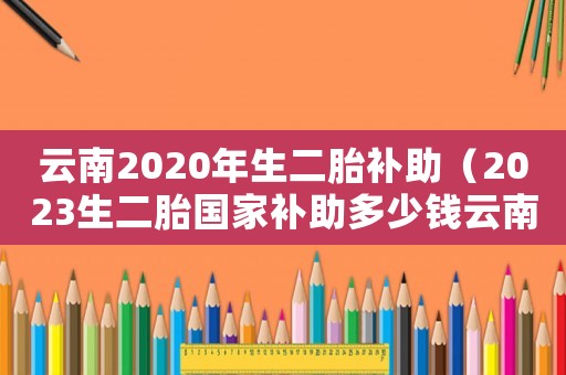 云南2020年生二胎補(bǔ)助（2023生二胎國家補(bǔ)助多少錢云南）