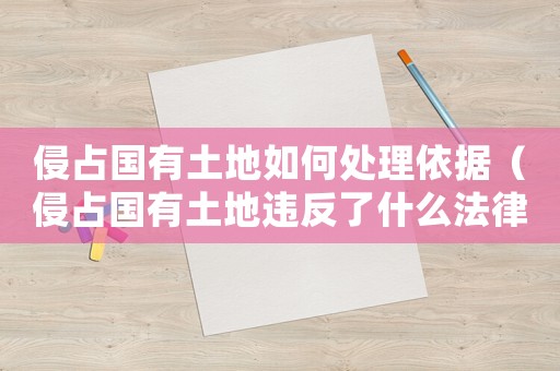 侵占國有土地如何處理依據(jù)（侵占國有土地違反了什么法律）