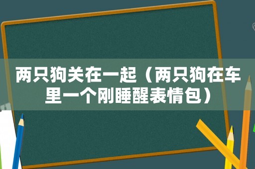 兩只狗關(guān)在一起（兩只狗在車?yán)镆粋€(gè)剛睡醒表情包）