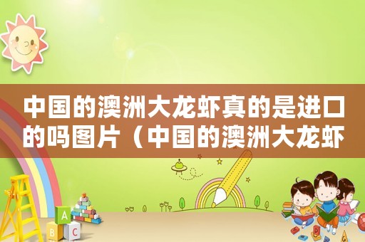 中國的澳洲大龍蝦真的是進(jìn)口的嗎圖片（中國的澳洲大龍蝦真的是進(jìn)口的嗎）