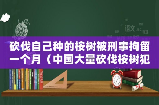 砍伐自己種的桉樹被刑事拘留一個(gè)月（中國大量砍伐桉樹犯法嗎知乎）