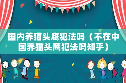 國(guó)內(nèi)養(yǎng)貓頭鷹犯法嗎（不在中國(guó)養(yǎng)貓頭鷹犯法嗎知乎）