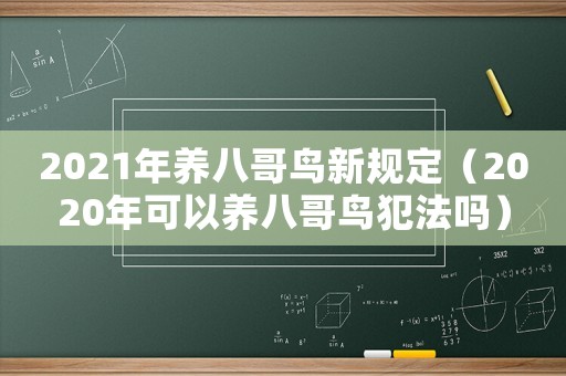 2021年養(yǎng)八哥鳥新規(guī)定（2020年可以養(yǎng)八哥鳥犯法嗎）