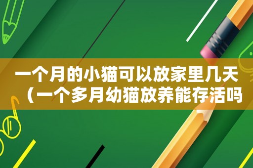 一個月的小貓可以放家里幾天（一個多月幼貓放養(yǎng)能存活嗎）