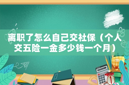 離職了怎么自己交社保（個人交五險一金多少錢一個月）