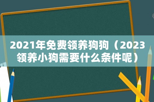 2021年免費(fèi)領(lǐng)養(yǎng)狗狗（2023領(lǐng)養(yǎng)小狗需要什么條件呢）