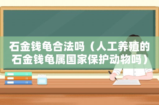 石金錢龜合法嗎（人工養(yǎng)殖的石金錢龜屬國家保護動物嗎）