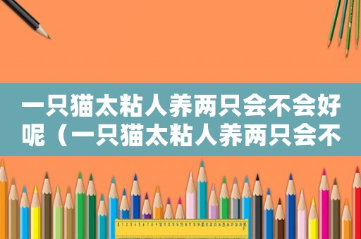 一只貓?zhí)橙损B(yǎng)兩只會(huì)不會(huì)好呢（一只貓?zhí)橙损B(yǎng)兩只會(huì)不會(huì)好）