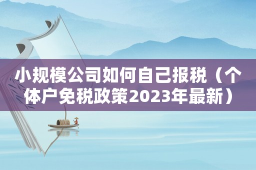 小規(guī)模公司如何自己報稅（個體戶免稅政策2023年最新）