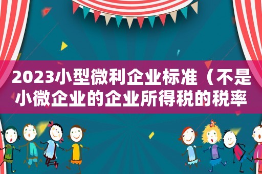 2023小型微利企業(yè)標準（不是小微企業(yè)的企業(yè)所得稅的稅率是多少）