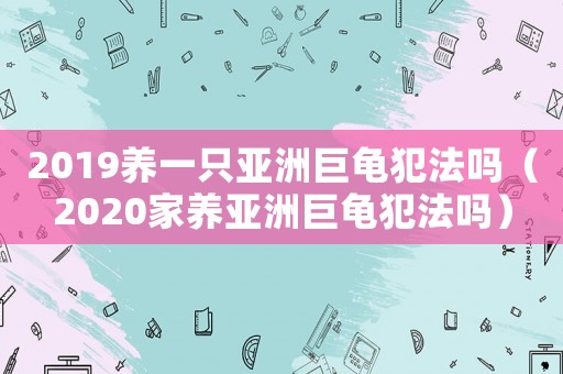 2019養(yǎng)一只亞洲巨龜犯法嗎（2020家養(yǎng)亞洲巨龜犯法嗎）
