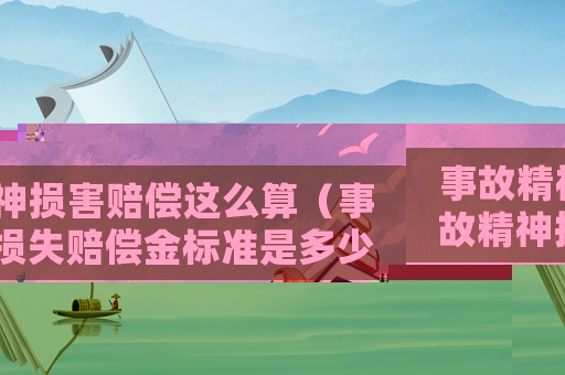 事故精神損害賠償這么算（事故精神損失賠償金標準是多少）