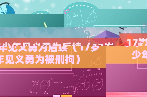 17歲少年見(jiàn)義勇為后續(xù)（17歲少年見(jiàn)義勇為被刑拘）