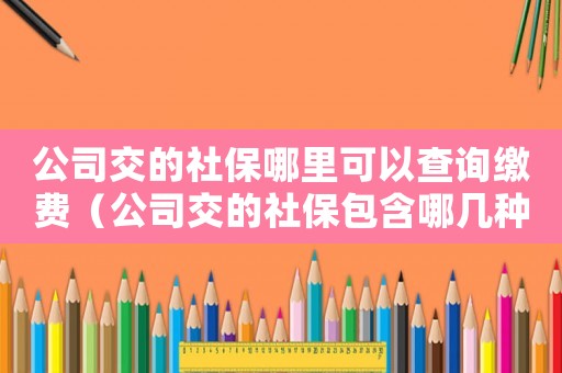 公司交的社保哪里可以查詢繳費(fèi)（公司交的社保包含哪幾種保險(xiǎn)怎么查詢）