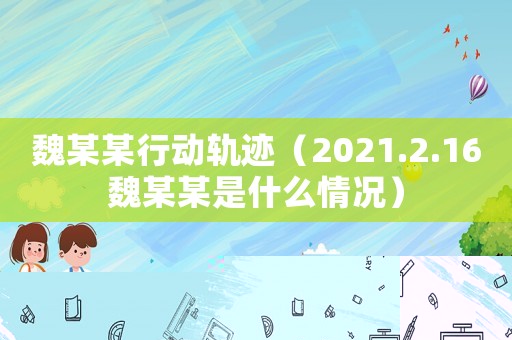 魏某某行動(dòng)軌跡（2021.2.16魏某某是什么情況）