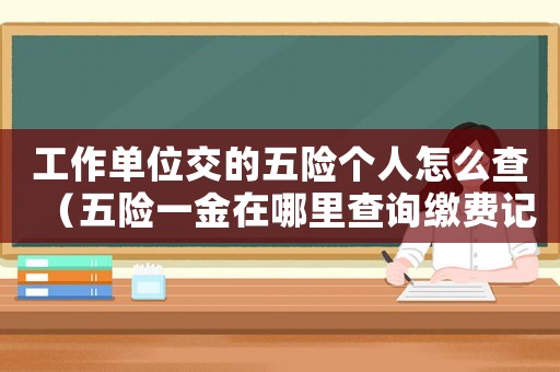 工作單位交的五險(xiǎn)個(gè)人怎么查（五險(xiǎn)一金在哪里查詢繳費(fèi)記錄）