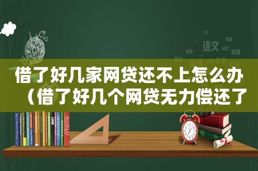 借了好幾家網(wǎng)貸還不上怎么辦（借了好幾個(gè)網(wǎng)貸無(wú)力償還了怎么辦）