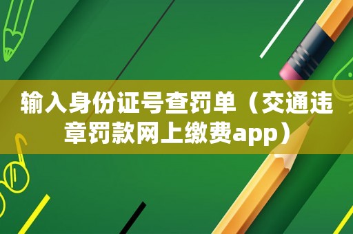 輸入身份證號查罰單（交通違章罰款網(wǎng)上繳費(fèi)app）