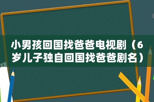 小男孩回國(guó)找爸爸電視劇（6歲兒子獨(dú)自回國(guó)找爸爸劇名）
