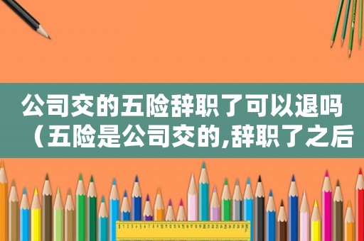 公司交的五險(xiǎn)辭職了可以退嗎（五險(xiǎn)是公司交的,辭職了之后怎么辦）