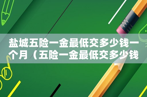 鹽城五險一金最低交多少錢一個月（五險一金最低交多少錢一個月）
