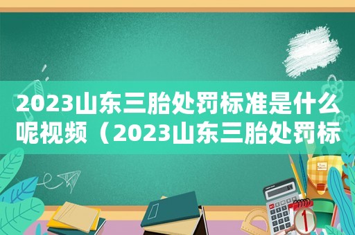 2023山東三胎處罰標(biāo)準(zhǔn)是什么呢視頻（2023山東三胎處罰標(biāo)準(zhǔn)是什么呢）