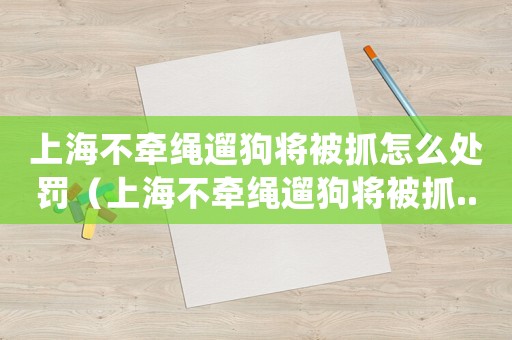 上海不牽繩遛狗將被抓怎么處罰（上海不牽繩遛狗將被抓...）