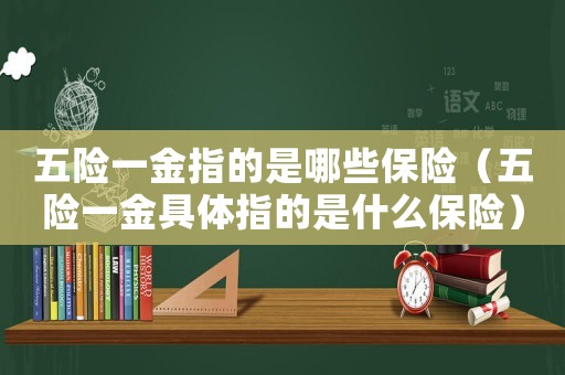 五險(xiǎn)一金指的是哪些保險(xiǎn)（五險(xiǎn)一金具體指的是什么保險(xiǎn)）