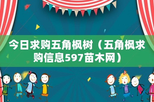 今日求購(gòu)五角楓樹（五角楓求購(gòu)信息597苗木網(wǎng)）