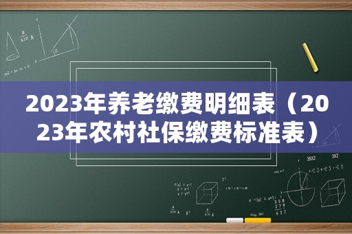 2023年養(yǎng)老繳費明細表（2023年農(nóng)村社保繳費標(biāo)準(zhǔn)表）