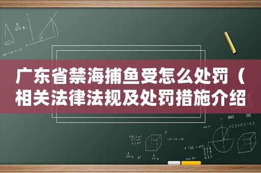 廣東省禁海捕魚受怎么處罰（相關法律法規(guī)及處罰措施介紹）