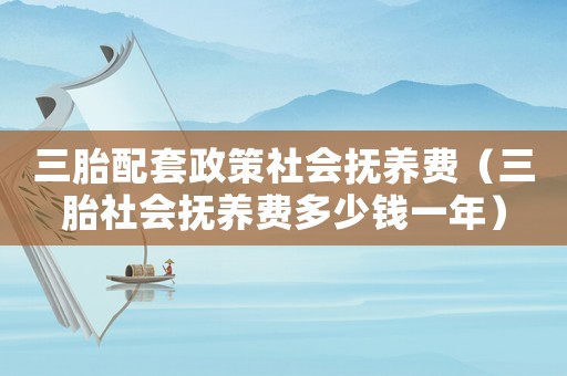 三胎配套政策社會(huì)撫養(yǎng)費(fèi)（三胎社會(huì)撫養(yǎng)費(fèi)多少錢(qián)一年）